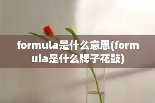 formula是什么意思(formula是什么牌子花鼓)