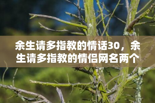 余生请多指教的情话30，余生请多指教的情侣网名两个字 余生请多指教的神回复