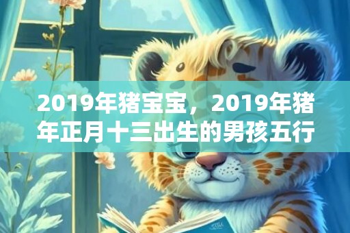 2019年猪宝宝，2019年猪年正月十三出生的男孩五行缺火的名字推荐