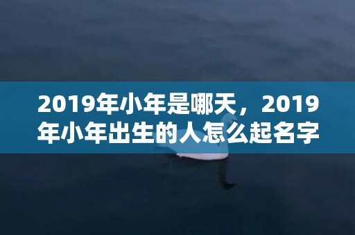 2019年小年是哪天，2019年小年出生的人怎么起名字？小年出生宝宝好不好？