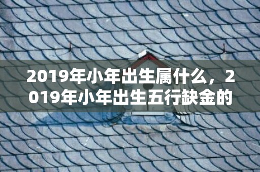 2019年小年出生属什么，2019年小年出生五行缺金的男孩起名大全