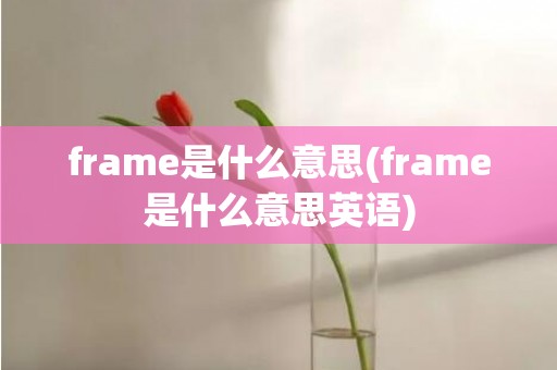 frame是什么意思(frame是什么意思英语)