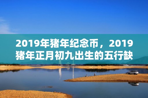 2019年猪年纪念币，2019猪年正月初九出生的五行缺水男孩如何起名？