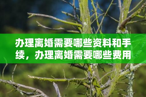 办理离婚需要哪些资料和手续，办理离婚需要哪些费用和手续，夫妻离婚后房子过户需要什么手续