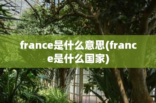 france是什么意思(france是什么国家)