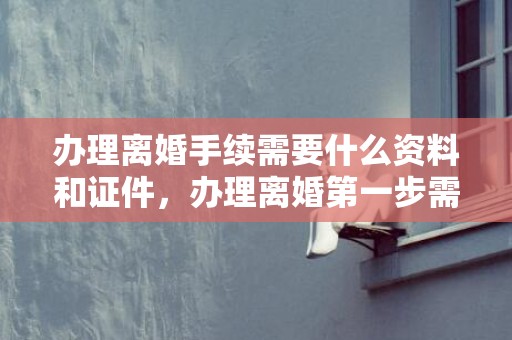 办理离婚手续需要什么资料和证件，办理离婚第一步需要做什么工作？办理离婚手续都需要什么