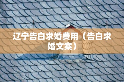 辽宁告白求婚费用（告白求婚文案）