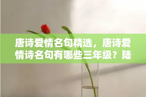 唐诗爱情名句精选，唐诗爱情诗名句有哪些三年级？陆游的爱情诗三首