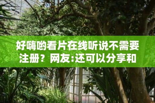 好嗨哟看片在线听说不需要注册？网友:还可以分享和免费观看