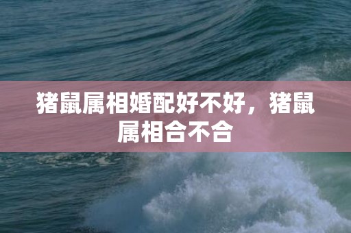 猪鼠属相婚配好不好，猪鼠属相合不合