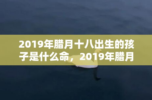 2019年腊月十八出生的孩子是什么命，2019年腊月十九出生宝宝起什么名字好？