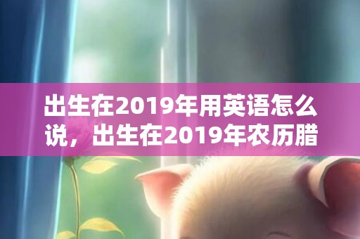 出生在2019年用英语怎么说，出生在2019年农历腊月二十三五行缺水的女孩如何起名更好？
