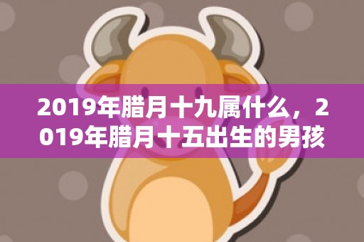 2019年腊月十九属什么，2019年腊月十五出生的男孩五行缺土取什么名字好？