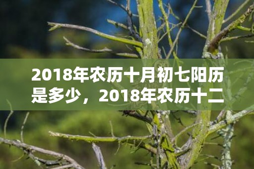 2018年农历十月初七阳历是多少，2018年农历十二月二十九出生的女孩好听的名字推荐