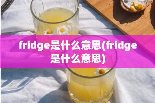 fridge是什么意思(fridge是什么意思)