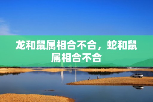 龙和鼠属相合不合，蛇和鼠属相合不合