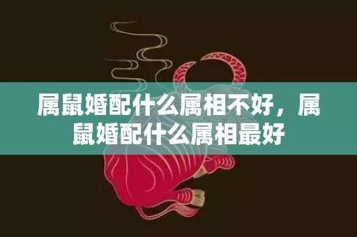 属鼠婚配什么属相不好，属鼠婚配什么属相最好