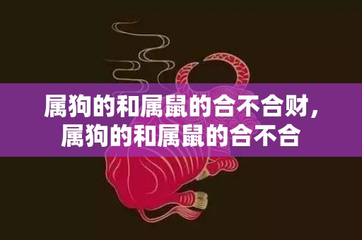 属狗的和属鼠的合不合财，属狗的和属鼠的合不合