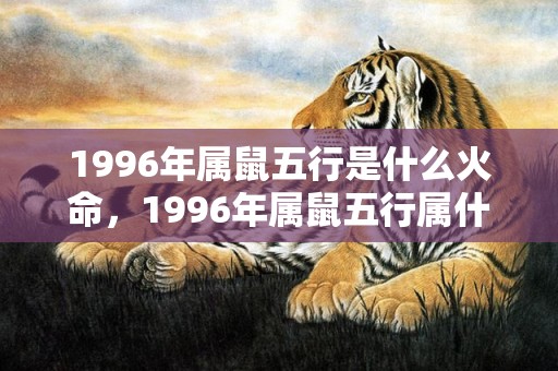 1996年属鼠五行是什么火命，1996年属鼠五行属什么