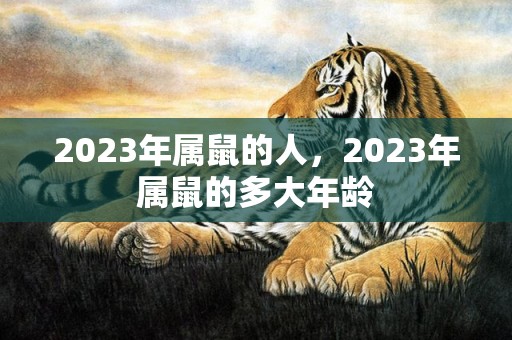 2023年属鼠的人，2023年属鼠的多大年龄