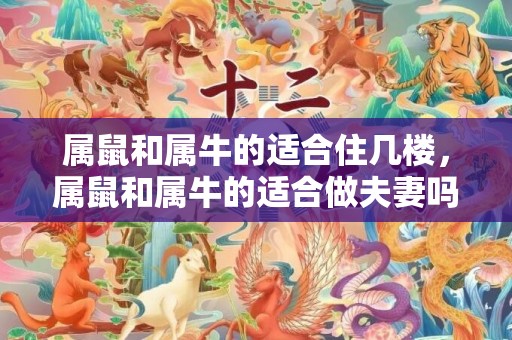 属鼠和属牛的适合住几楼，属鼠和属牛的适合做夫妻吗