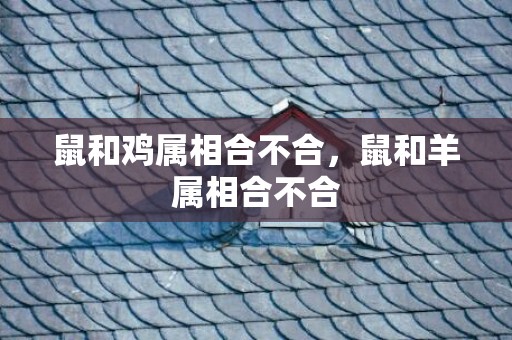 鼠和鸡属相合不合，鼠和羊属相合不合