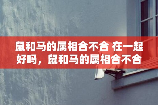 鼠和马的属相合不合 在一起好吗，鼠和马的属相合不合