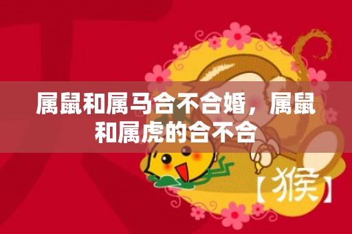 属鼠和属马合不合婚，属鼠和属虎的合不合