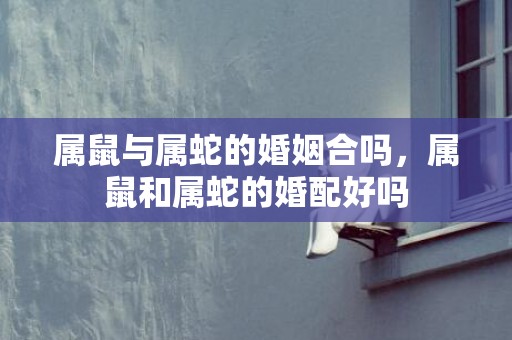属鼠与属蛇的婚姻合吗，属鼠和属蛇的婚配好吗