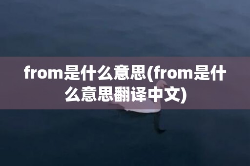 from是什么意思(from是什么意思翻译中文)