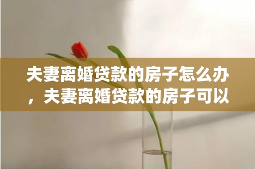 夫妻离婚贷款的房子怎么办，夫妻离婚贷款的房子可以过户吗(离婚了房子有贷款怎么过户给对方)
