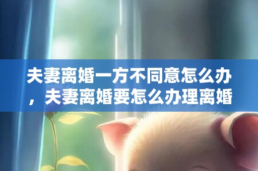 夫妻离婚一方不同意怎么办，夫妻离婚要怎么办理离婚证手续？夫妻双方离婚需要哪些手续