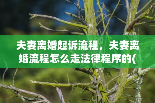夫妻离婚起诉流程，夫妻离婚流程怎么走法律程序的(夫妻双方自愿离婚的流程)