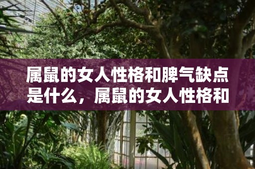 属鼠的女人性格和脾气缺点是什么，属鼠的女人性格和脾气