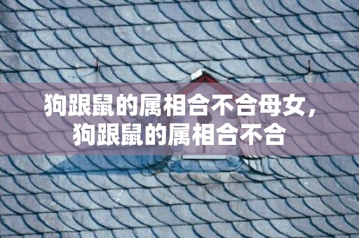 狗跟鼠的属相合不合母女，狗跟鼠的属相合不合