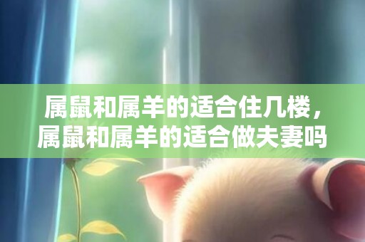 属鼠和属羊的适合住几楼，属鼠和属羊的适合做夫妻吗