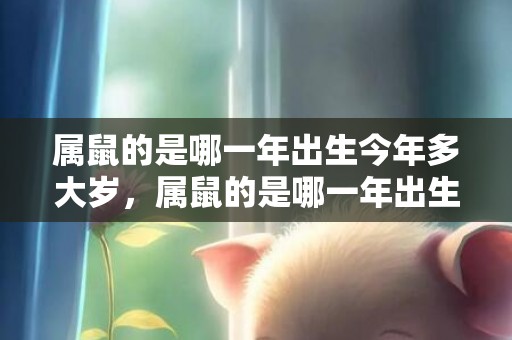 属鼠的是哪一年出生今年多大岁，属鼠的是哪一年出生