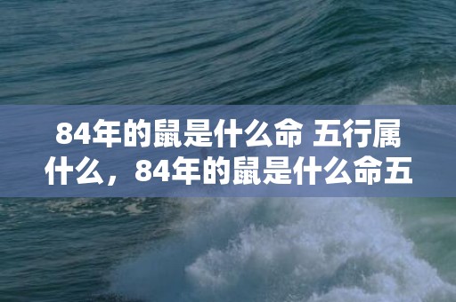 84年的鼠是什么命 五行属什么，84年的鼠是什么命五行属什么