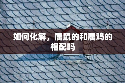如何化解，属鼠的和属鸡的相配吗