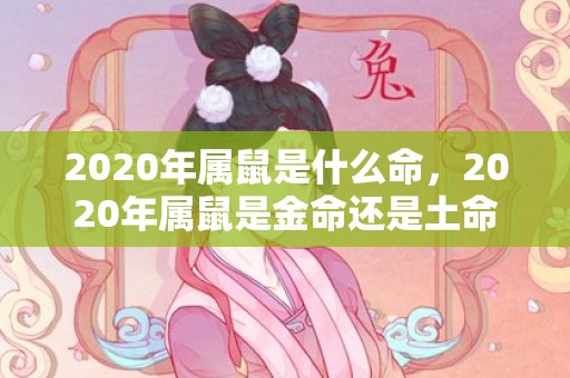 2020年属鼠是什么命，2020年属鼠是金命还是土命