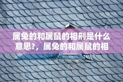 属兔的和属鼠的相刑是什么意思?，属兔的和属鼠的相配吗