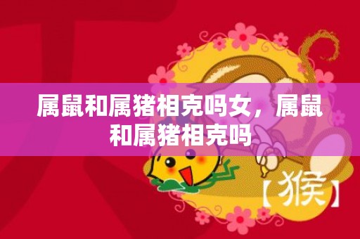 属鼠和属猪相克吗女，属鼠和属猪相克吗