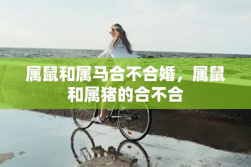 属鼠和属马合不合婚，属鼠和属猪的合不合