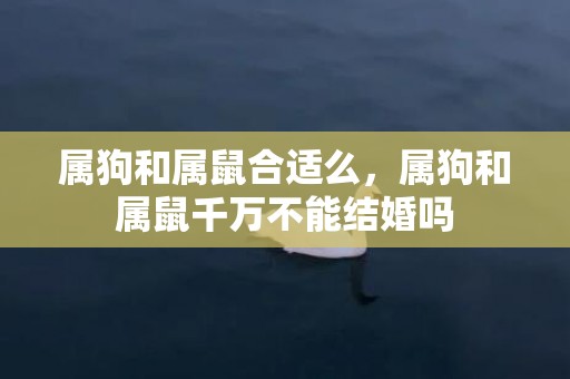 属狗和属鼠合适么，属狗和属鼠千万不能结婚吗