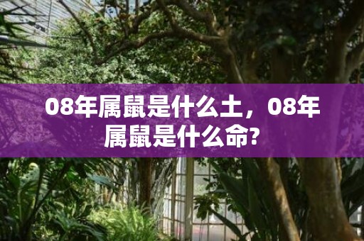 08年属鼠是什么土，08年属鼠是什么命?