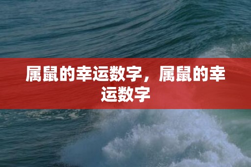 属鼠的幸运数字，属鼠的幸运数字