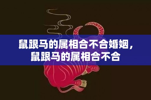 鼠跟马的属相合不合婚姻，鼠跟马的属相合不合