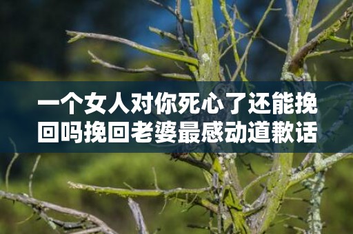一个女人对你死心了还能挽回吗挽回老婆最感动道歉话