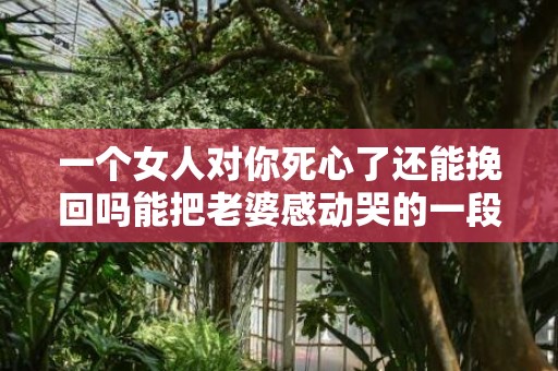 一个女人对你死心了还能挽回吗能把老婆感动哭的一段话