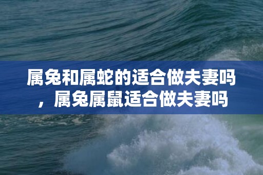 属兔和属蛇的适合做夫妻吗，属兔属鼠适合做夫妻吗
